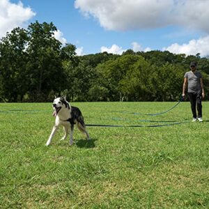 Hi Kiss Dogpuppy Obedience Recall Training Agility Lead 15ft 20ft 30ft 50ft 100ft Training Leash Great For Play Camping Or Backyard Black 30ft 0 4