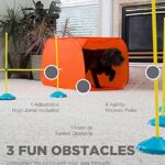 Outward Hound Zip Zoom Indoor Dog Agility Training Kit For Dogs 0 0