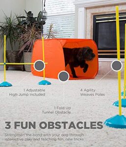 Outward Hound Zip Zoom Indoor Dog Agility Training Kit For Dogs 0 0