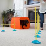 Outward Hound Zip Zoom Indoor Dog Agility Training Kit For Dogs 0 3