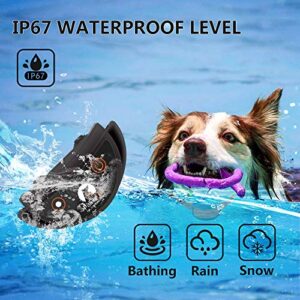 Paipaitek No Shock Dog Training Collar With Remote Lightest Vibration Collar For Small Dogs 5 15lbs Medium Large Dogs Rechargeable Waterproof 1600ft Range No Prongs 0 2