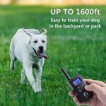 Paipaitek No Shock Dog Training Collar With Remote Lightest Vibration Collar For Small Dogs 5 15lbs Medium Large Dogs Rechargeable Waterproof 1600ft Range No Prongs 0 3