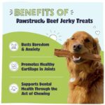 Pawstruck Premium Beef Jerky Dog Treat Chews Large 10 Strips Support Hip Joint Health Naturally Rich In Glucosamine Chondroitin No Added Preservatives 15 Count Packaging May Vary 0 0