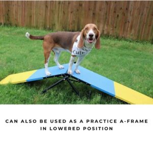 Practice See Saw Dog Agility Teeter Dog Agility Equipment 0 3