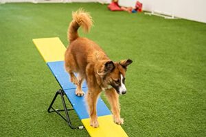 Practice See Saw Dog Agility Teeter Dog Agility Equipment 0 4