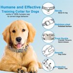 Prong Pinch Collar For Dogs Adjustable Training Collar With Quick Release Buckle For Small Medium Large Dogspacked With Two Extra Links Ml18 23 Neck 300mm 0 1
