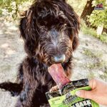 Redbarn Naturals Barky Bark Beef Dog Treats 50 Bones 0 3