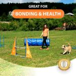 Sparklypets Dog Agility Training Equipment Set For Indoor Outdoor Complete Dog Agility Equipment For Dogs Dog Agility Course With Weave Poles Pause Box Tunnel Tire Hurdle Jump Orangeblue 0 0
