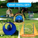 Sparklypets Dog Agility Training Equipment Set For Indoor Outdoor Complete Dog Agility Equipment For Dogs Dog Agility Course With Weave Poles Pause Box Tunnel Tire Hurdle Jump Orangeblue 0 3