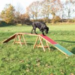 Trixie Dog Agility Dogwalk Canine Agility Training Obedience Training 0 0