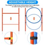 Xiaz Dog Agility Equipments Obstacle Courses Agility Training Starter Kit For Doggie Pet Outdoor Games For Backyard Interactive Play Includes Jumping Ring High Jumps 6 Piece Weave Poles Pause Box 0 1