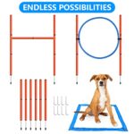 Xiaz Dog Agility Equipments Obstacle Courses Agility Training Starter Kit For Doggie Pet Outdoor Games For Backyard Interactive Play Includes Jumping Ring High Jumps 6 Piece Weave Poles Pause Box 0 3