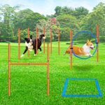 Xiaz Dog Agility Equipments Obstacle Courses Agility Training Starter Kit For Doggie Pet Outdoor Games For Backyard Interactive Play Includes Jumping Ring High Jumps 6 Piece Weave Poles Pause Box 0 4